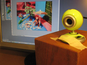 Δικτυοκάμερα1